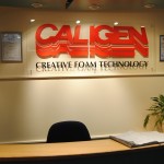 Welcome to Caligen
